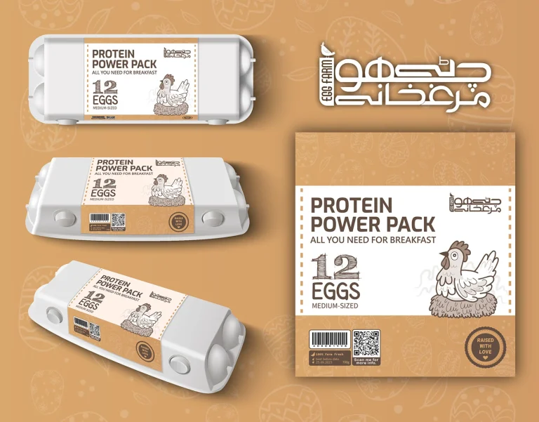 Graphic Design for Beginners – Complete Starter Guide